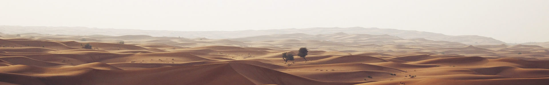޻Ƽ޹˾